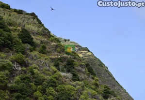 imagem_14
