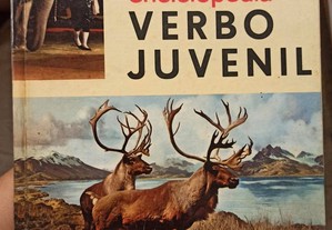 Enciclopédia Verbo Juvenil - Volume 5