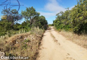 imagem_3