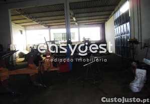 imagem_11