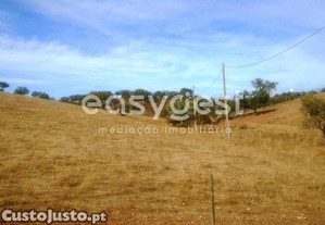 imagem_22
