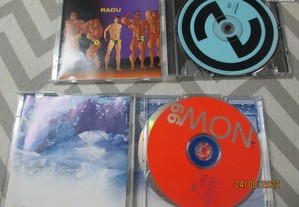 imagem_3