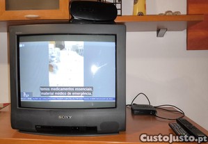 imagem_7