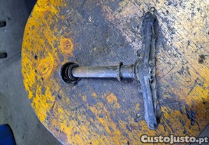 imagem_3