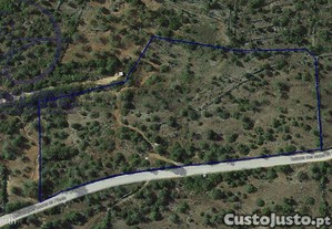 imagem_2