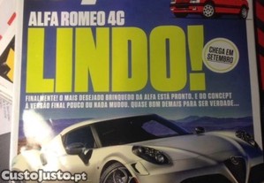 imagem_3
