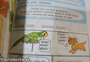 imagem_6