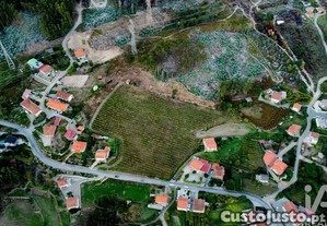 imagem_21
