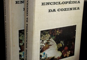 Livros Grande Enciclopédia da Cozinha Maria de Lourdes Modesto 2 Vol