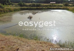 imagem_40
