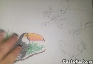 imagem_3