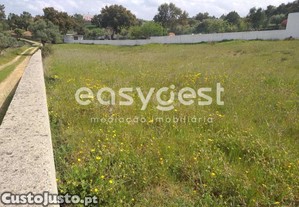 imagem_33