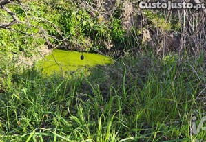 imagem_21