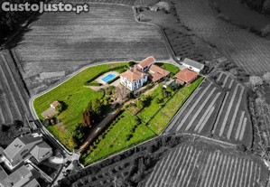 Quinta Centenria com Piscina e Vinhas, entre Viseu e Tondela