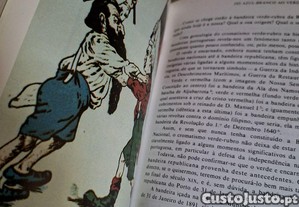 imagem_6