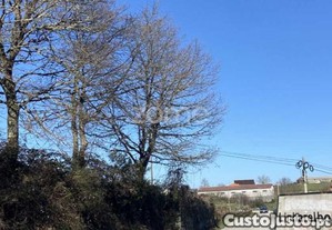 Terreno Montalegre