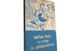 Adrian Mole na crise da adolescência - Sue Townsend