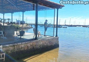 imagem_11