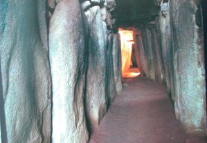 imagem_4