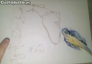 imagem_7