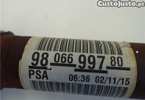 imagem_4