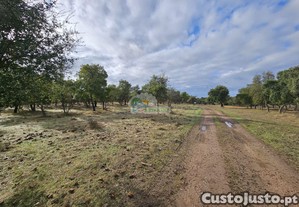 Herdade dos Sobreiros - Alentejo