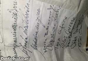 imagem_8