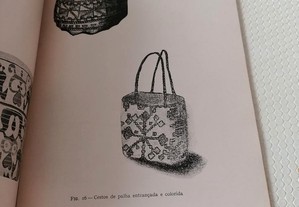 imagem_6
