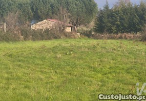 Terreno Agrícola em Seixo da Beira