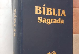 Bíblias sagradas( varias ) novas