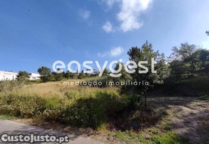 imagem_9