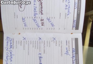 imagem_6