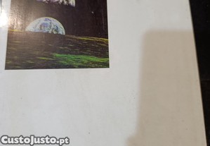 imagem_7