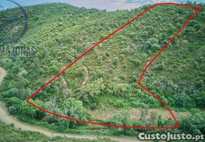 imagem_5