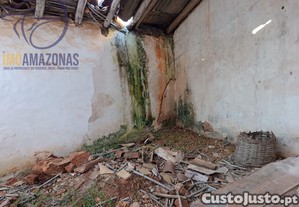imagem_24