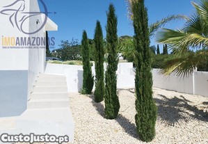 imagem_8