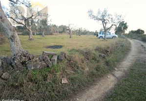 Terreno Rústico Em Salgueiro Do Campo,Castelo Branco, Castelo Branco