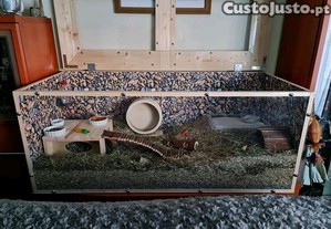 Alojamento para hamster ou outro roedor
