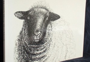 Livro Henry Moore's Sheep Sketchbook