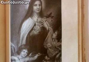 imagem_7