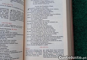 imagem_6