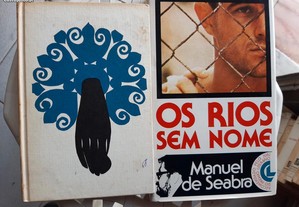 Obras de Irene Lisboa e Manuel de Seabra