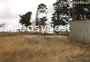 imagem_13
