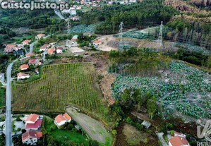 imagem_12