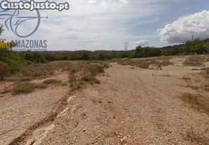 imagem_5