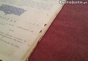 imagem_3