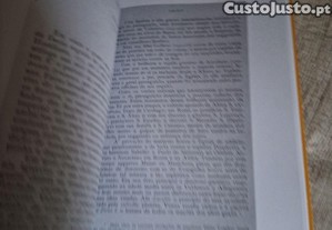 imagem_7
