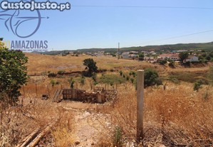 imagem_15