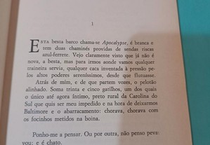 imagem_2