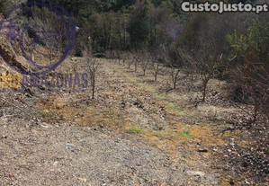 imagem_15